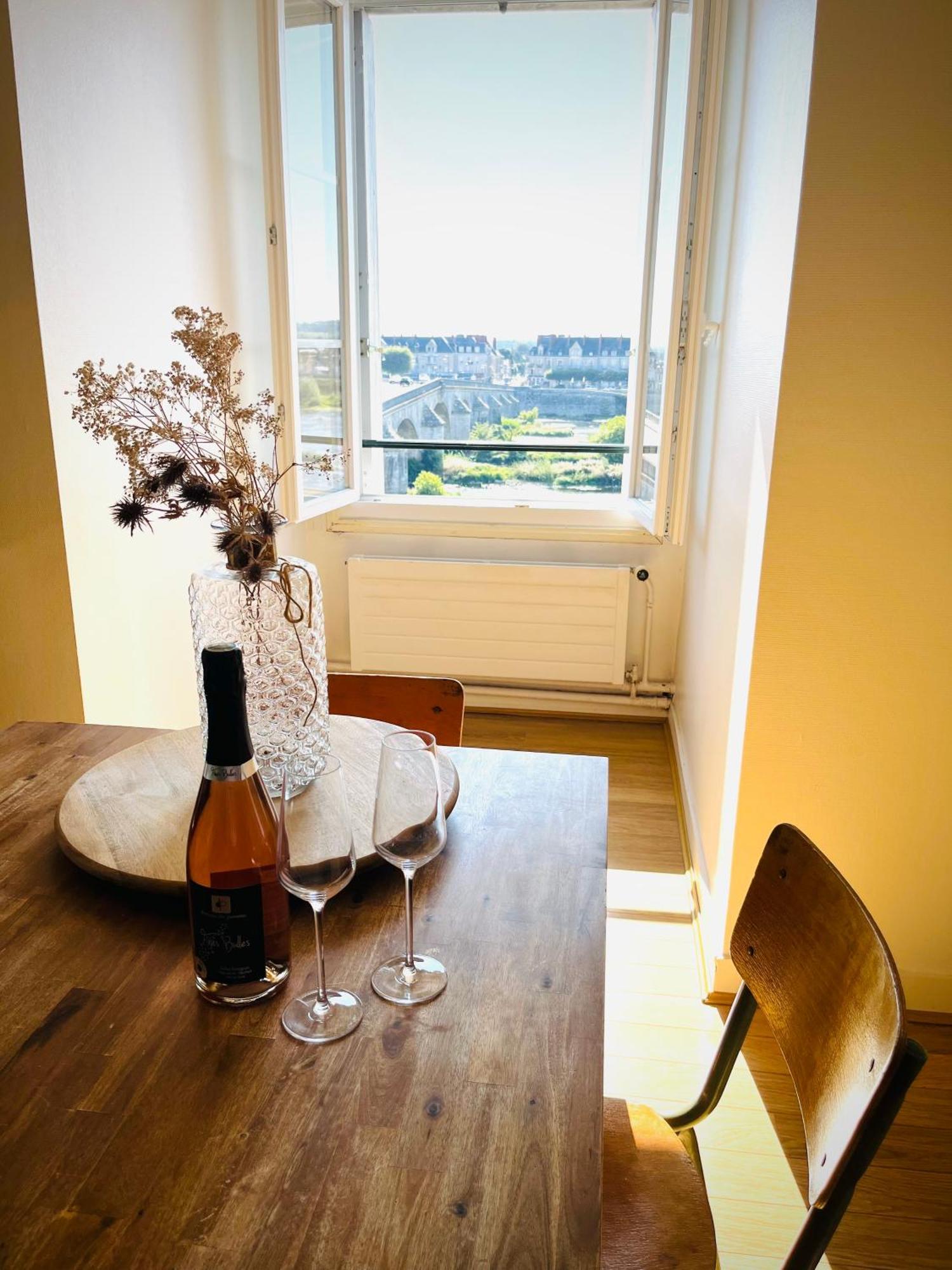 Blois, Vue Panoramique Loire公寓 外观 照片