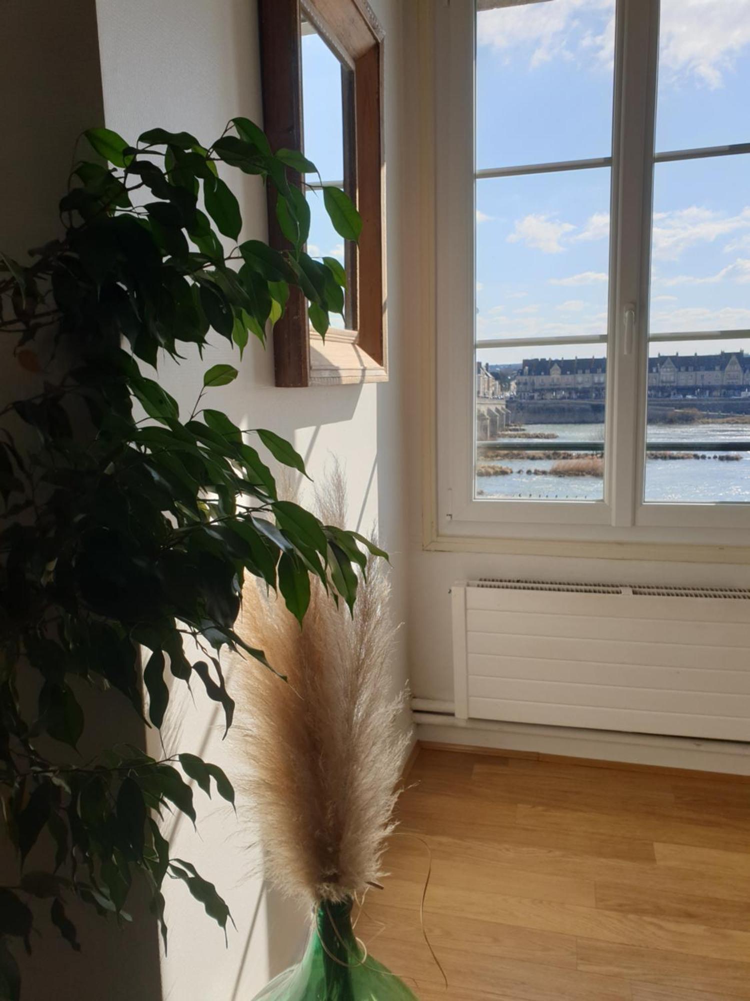 Blois, Vue Panoramique Loire公寓 外观 照片